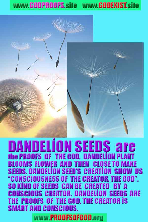 God's proofs and evidences
