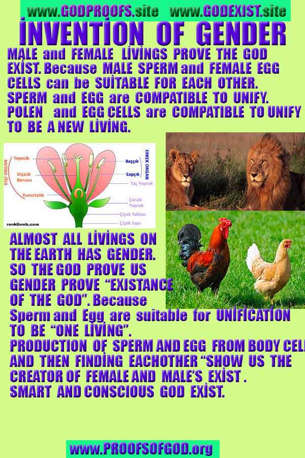 evidences of God
