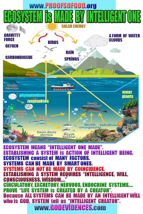 where is God?