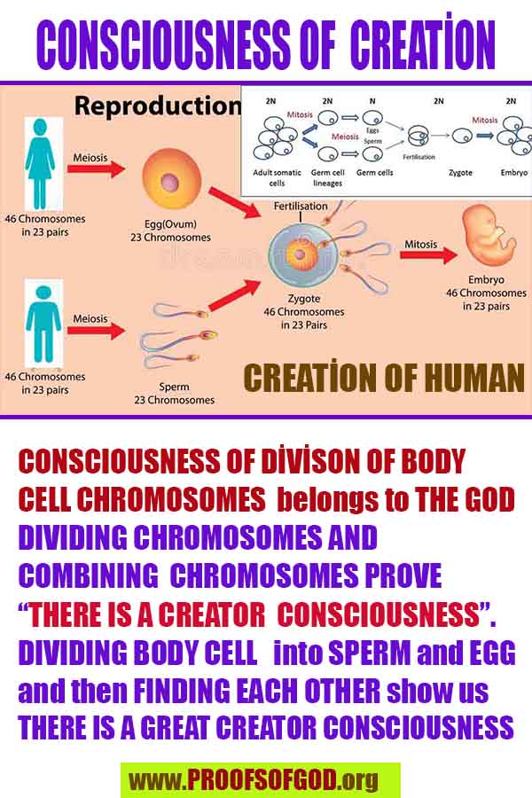 God's evidences
