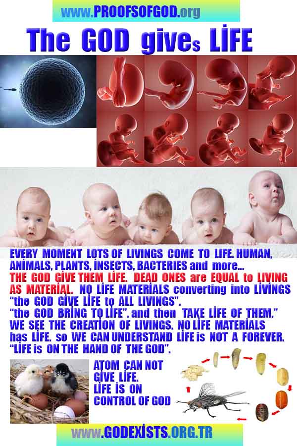 Proofs of God
