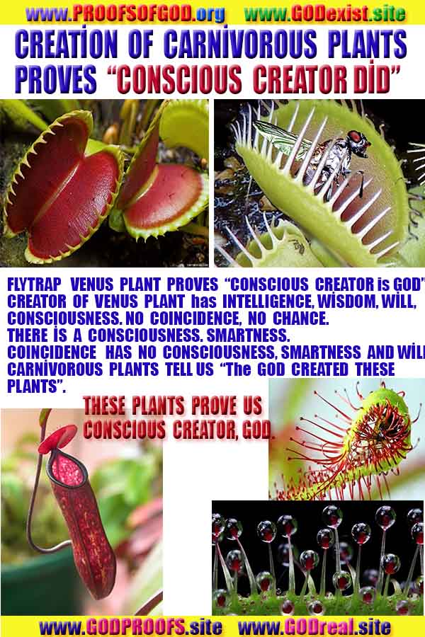 why we can't see God?