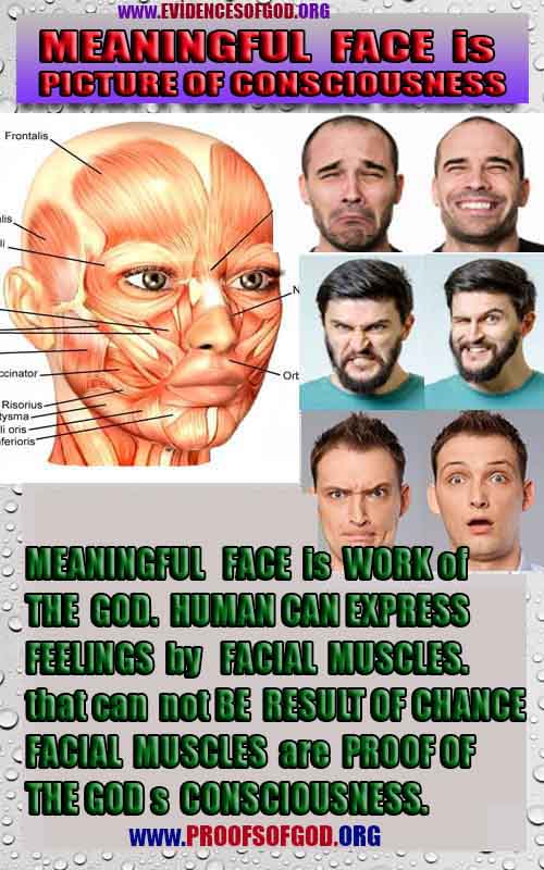 God exists here proofs