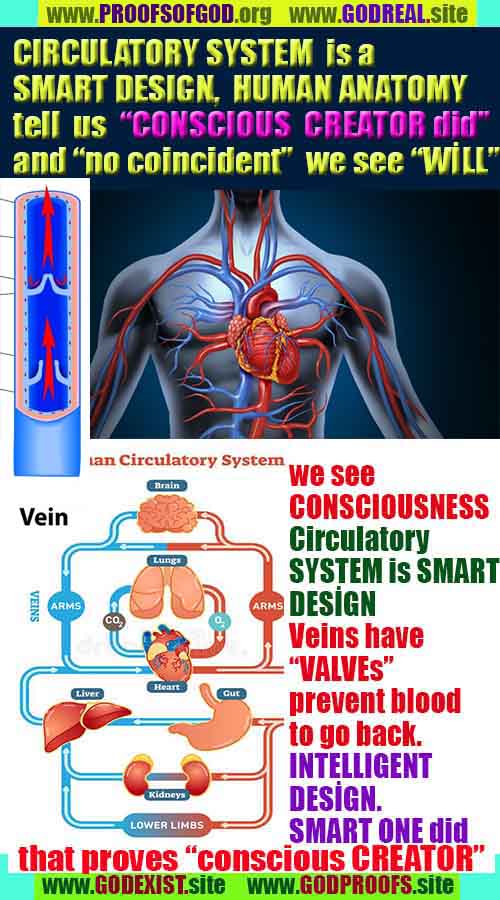God's evidences