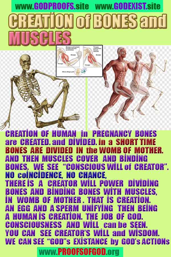 evidences of God