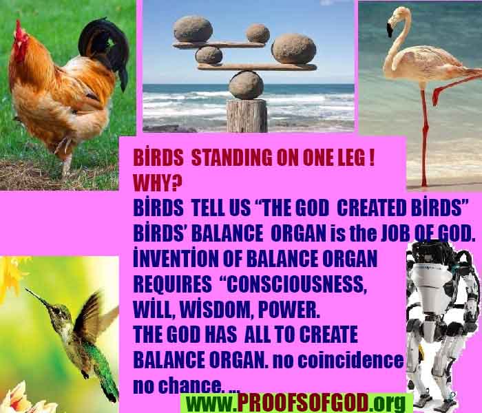 God exists here proofs