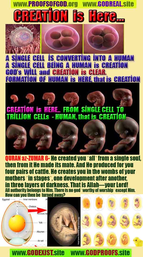 God's proofs and evidences