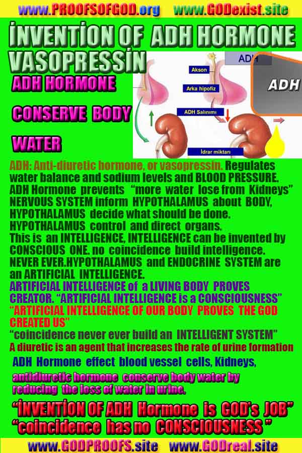 God's evidences