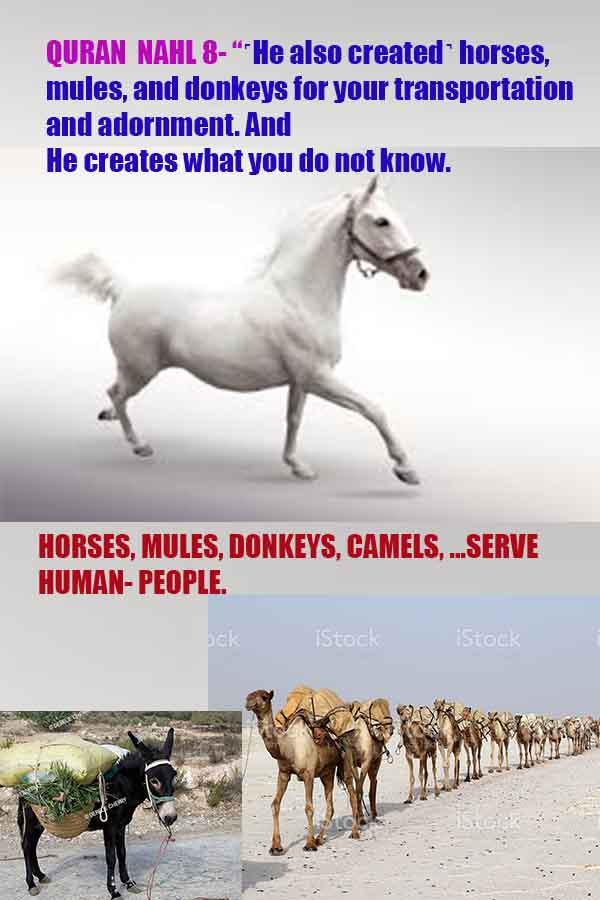 evidences of God