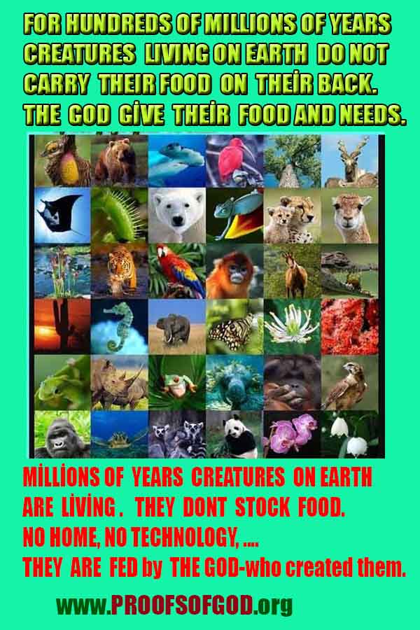 evidences of God